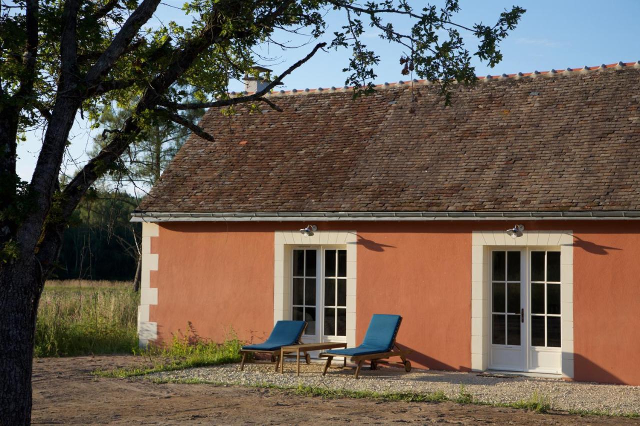 Domaine De La Trigaliere Villa Ambillou Екстериор снимка